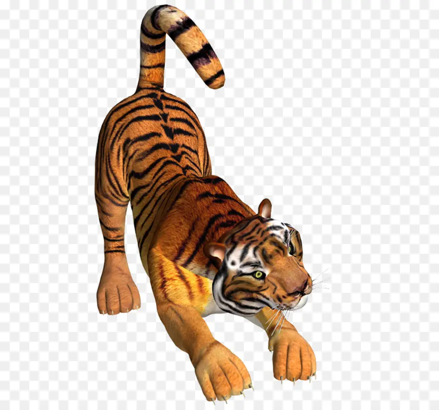 Tigre，Felino De Gran Tamaño PNG