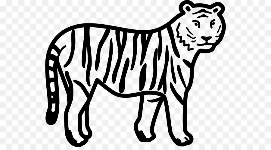 Tigre De Bengala，En Blanco Y Negro PNG