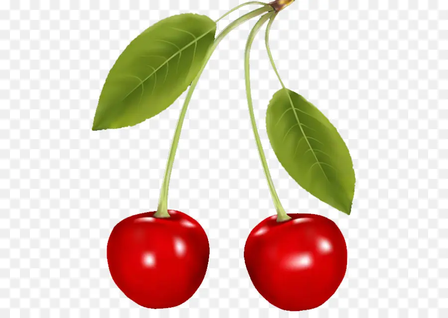 Berry，Cherry PNG