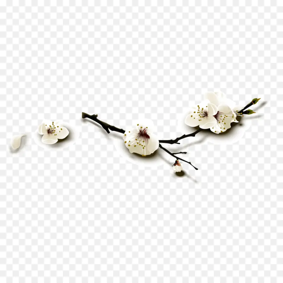 Flor De Cerezo，Cereza PNG