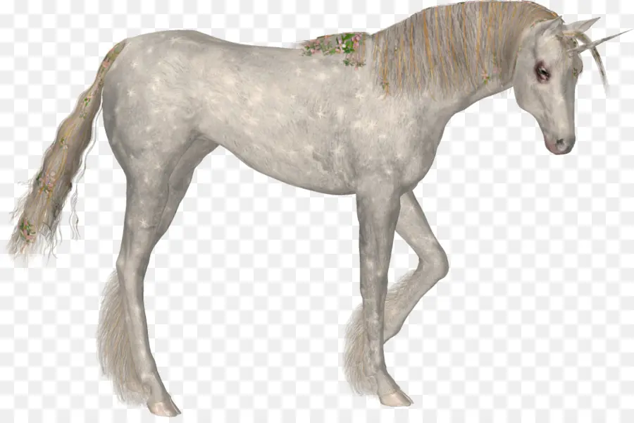 Toalla，Unicornio PNG