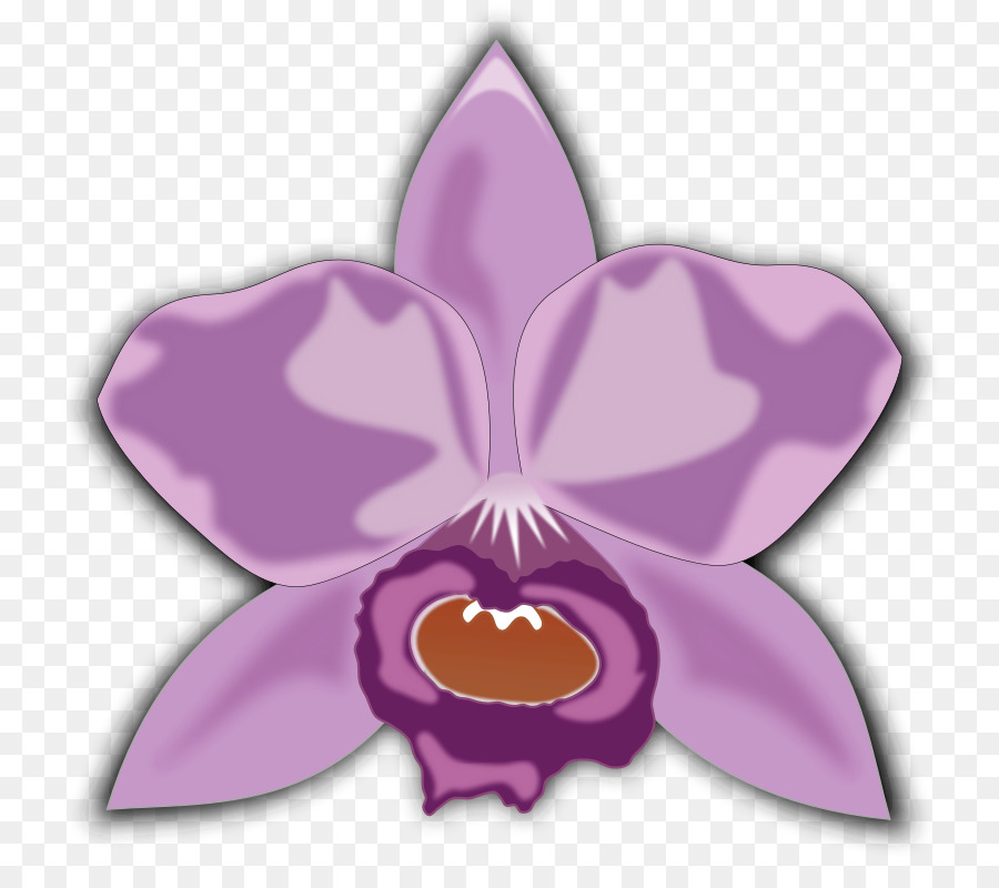 Flor De Orquídea，Púrpura PNG