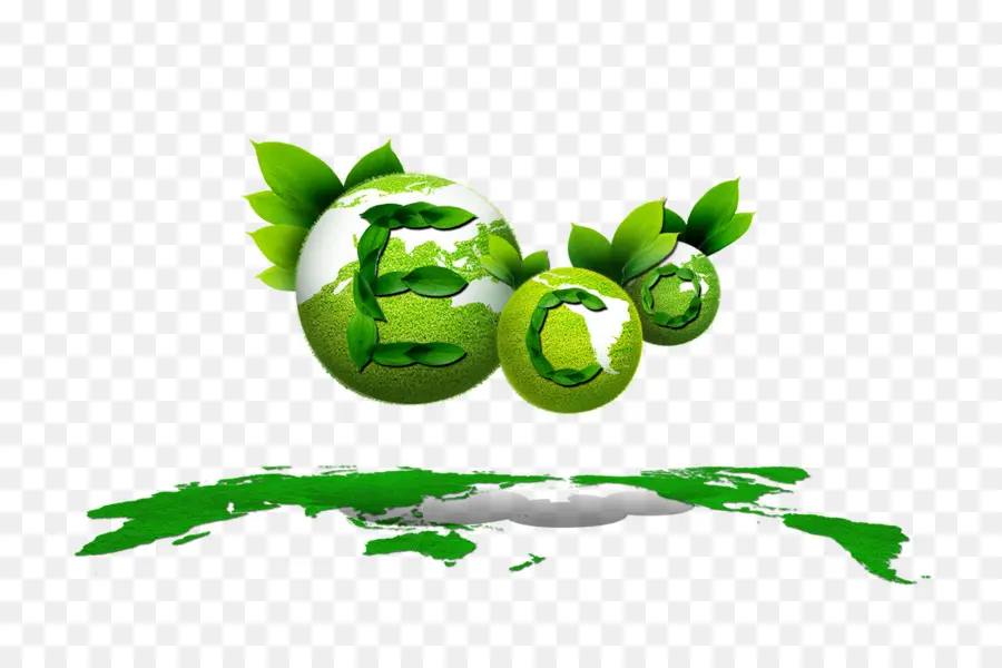 Ecológico，Verde PNG