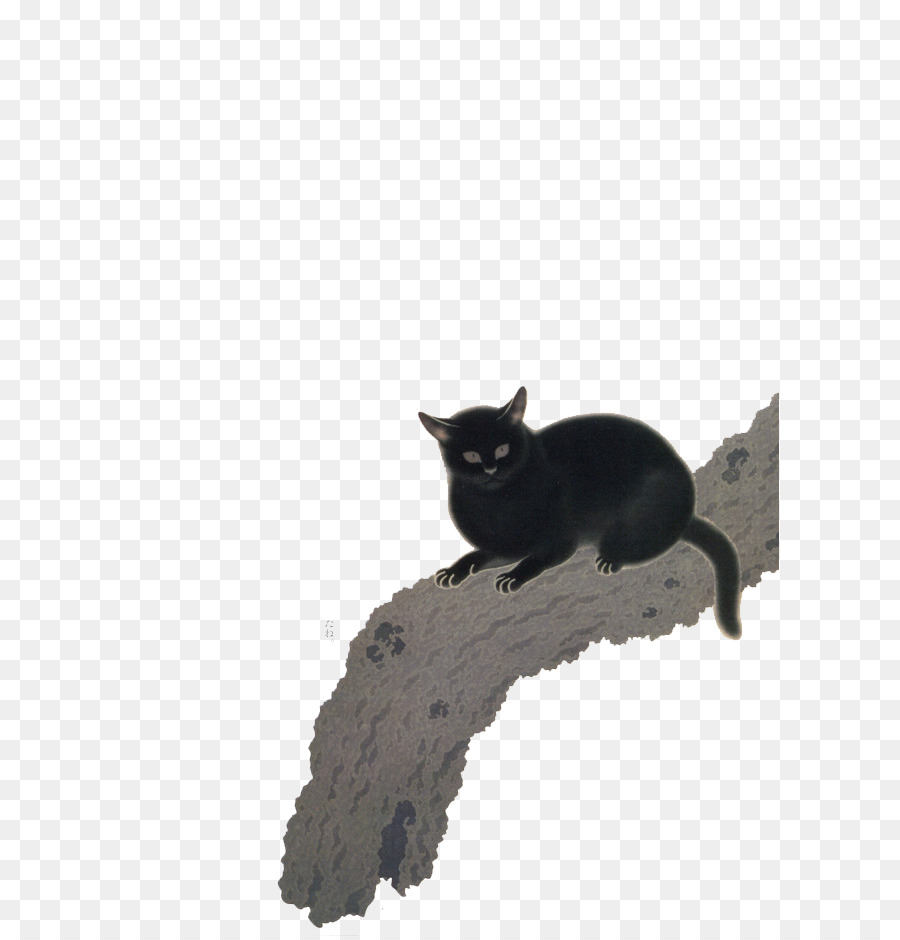 Gato Negro，Gato PNG