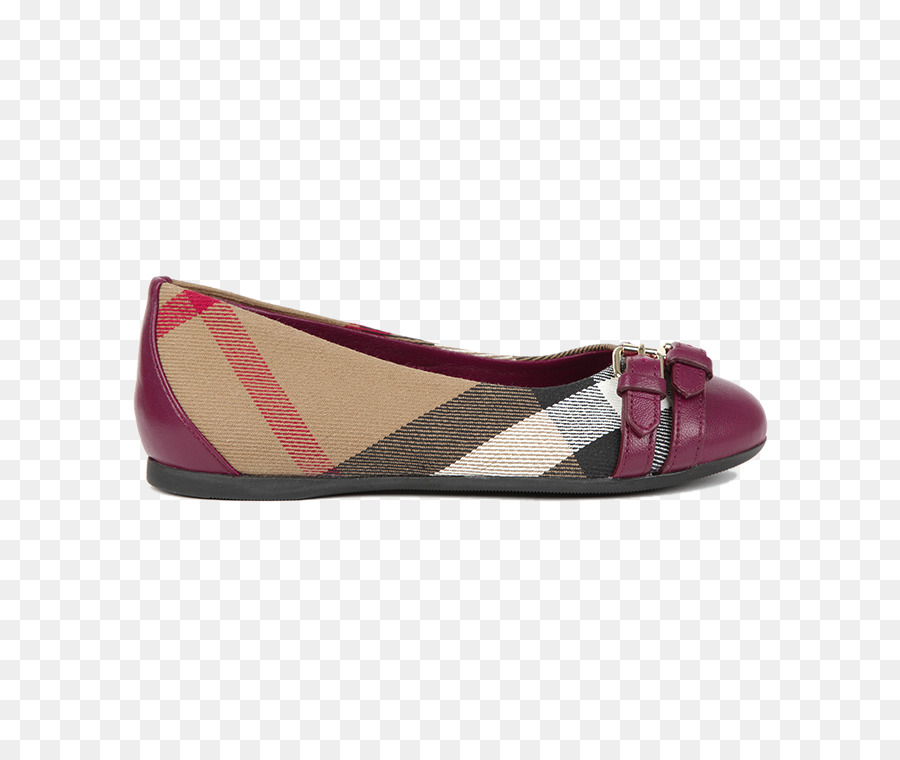 El Ballet Plana，Zapato PNG