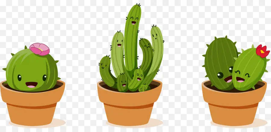 Cactaceae，Dibujo PNG