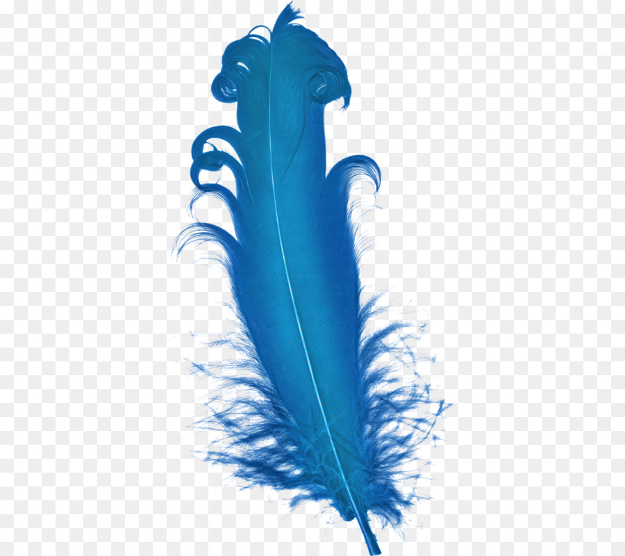 Pluma，Azul PNG