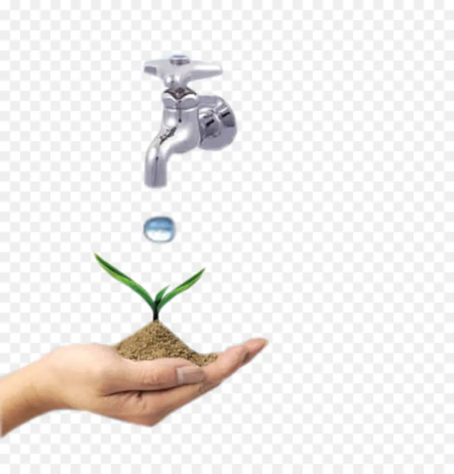 Mano Y Planta，Agua PNG