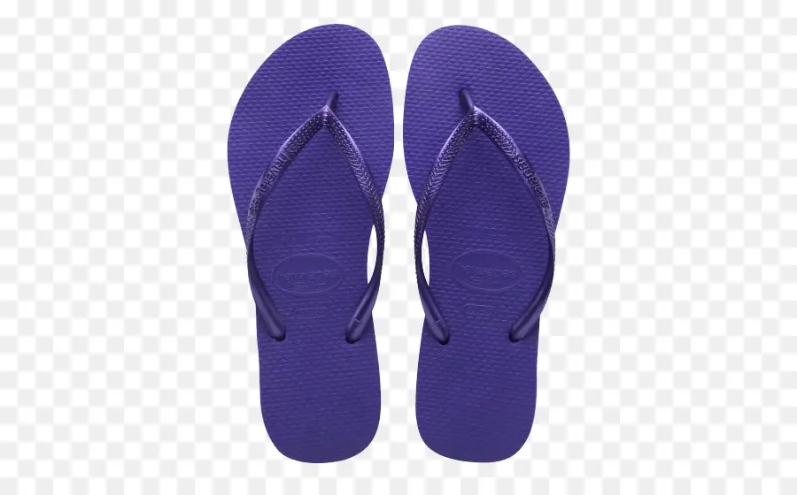 Flipflops，Zapatilla PNG