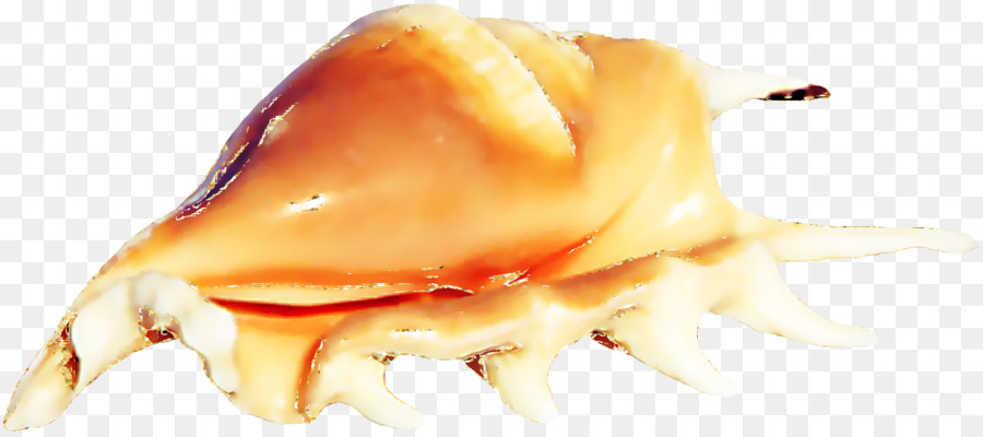 Mariscos，La Concha PNG