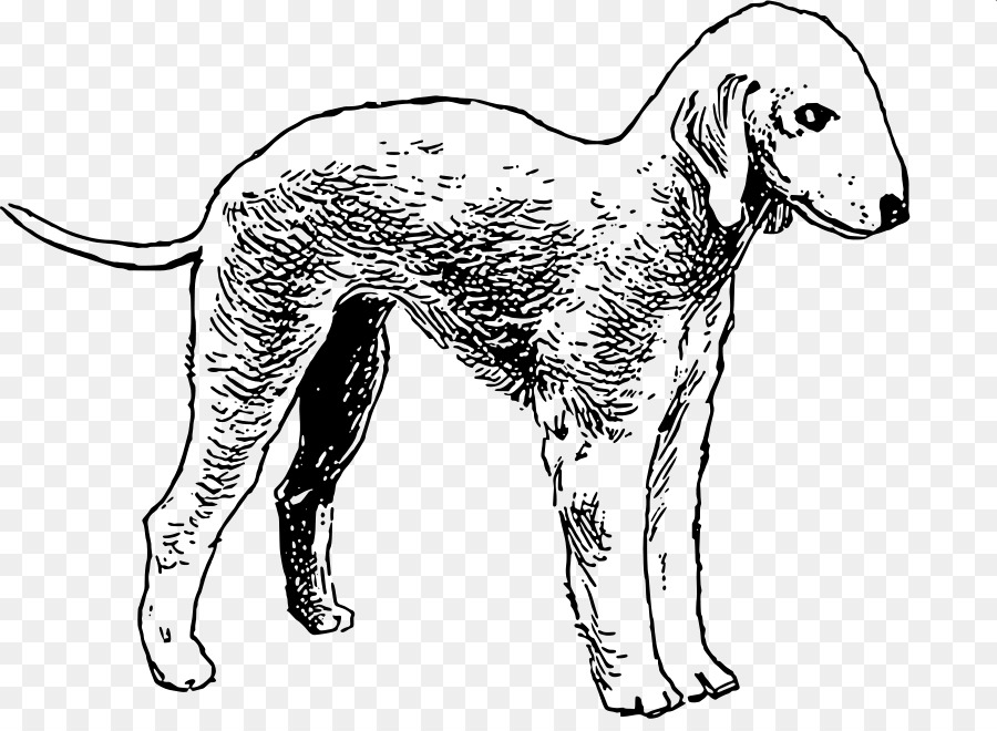 Perro，Mascota PNG