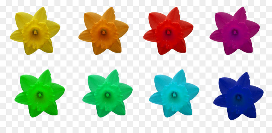 Flores Coloridas，Plástico PNG