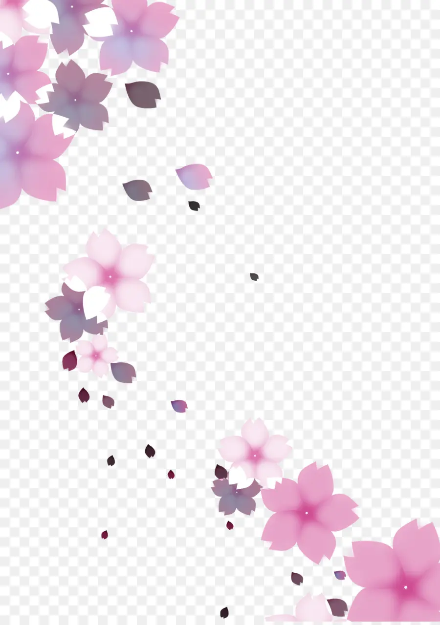 De Los Cerezos En Flor，Flor PNG