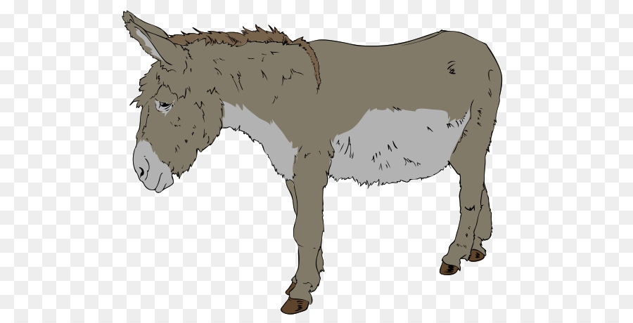 Benjamin，Burro PNG