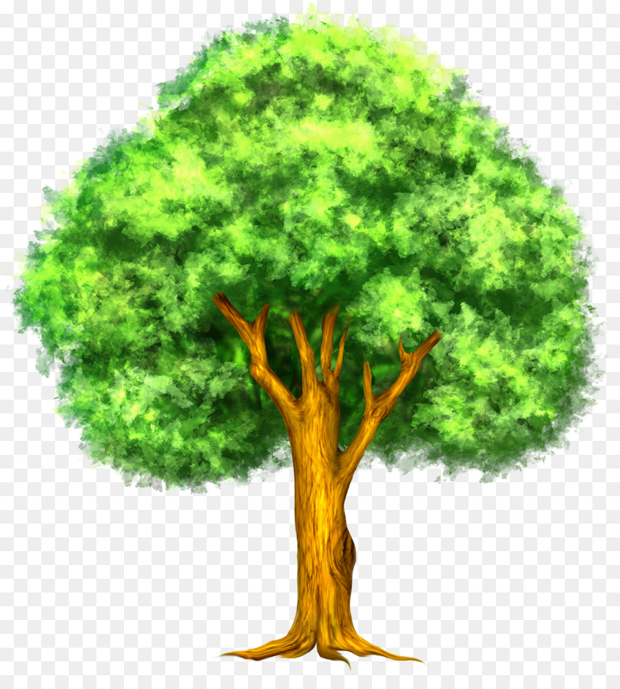 árbol Verde，Planta PNG