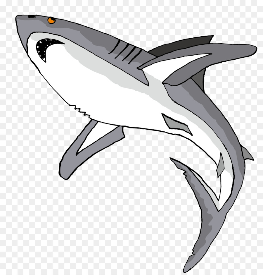 Tiburón，Dibujos Animados PNG