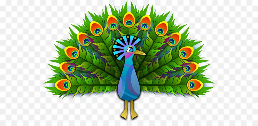 Pavo Real，Libre De Contenido PNG