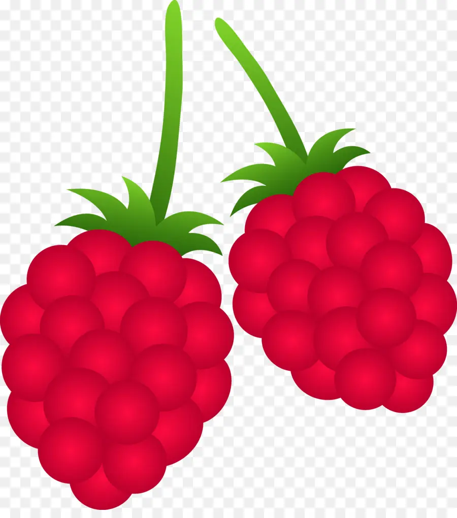 Berry，Frambuesa PNG