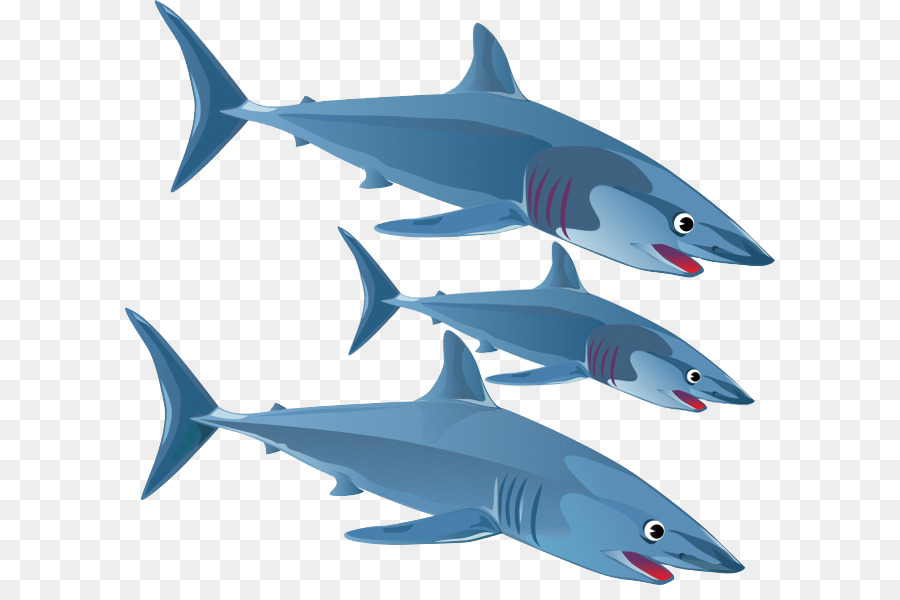 Tiburones，Océano PNG