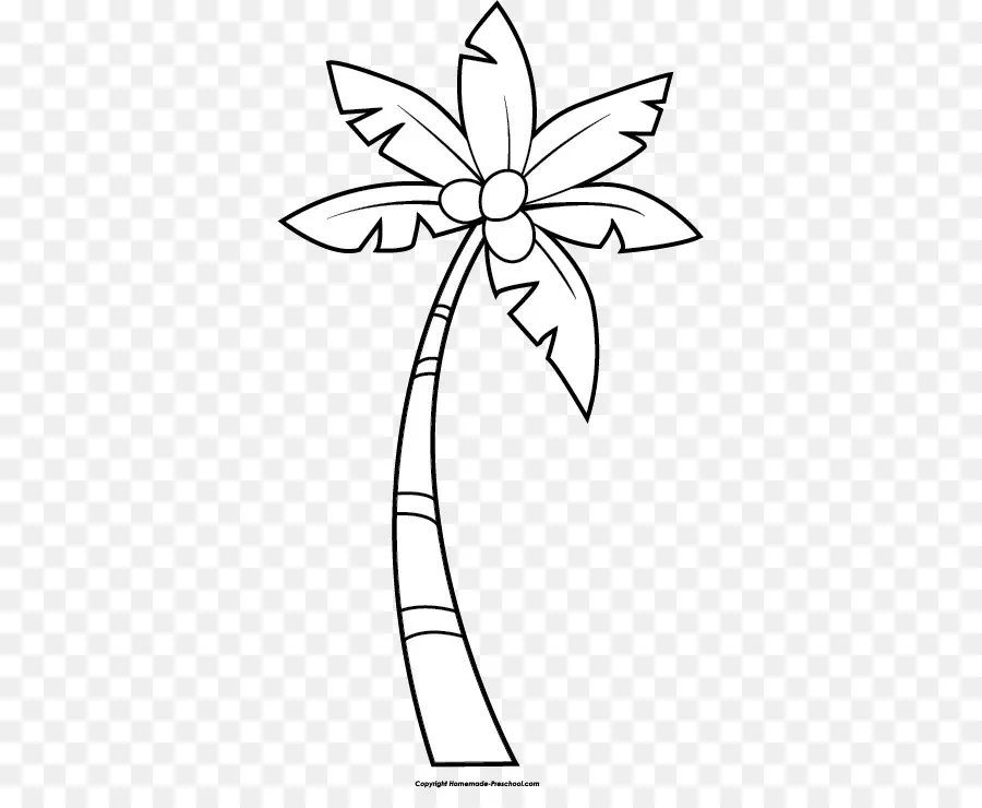 Palmera，Coco PNG