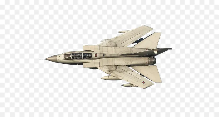 Grumman F14 Tomcat，Avión PNG