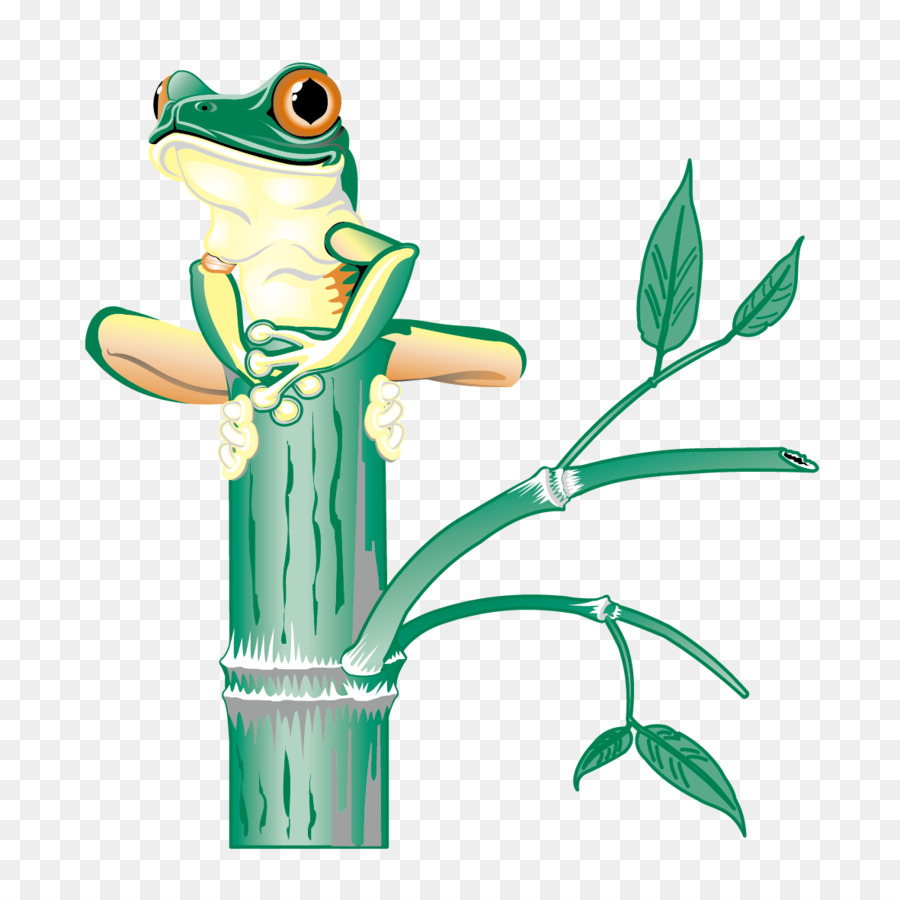 Rana，Rana De árbol PNG