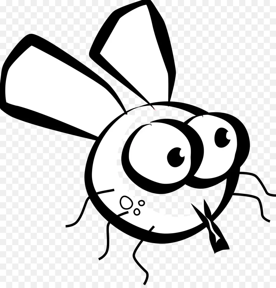 Mosca De Dibujos Animados，Dibujos Animados PNG