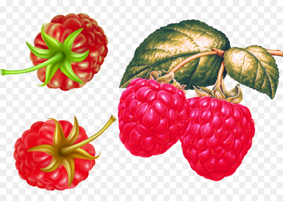 Frambuesas，Fruta PNG