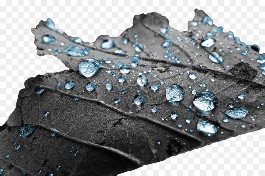 Hoja Con Gotas De Agua，Lluvia PNG