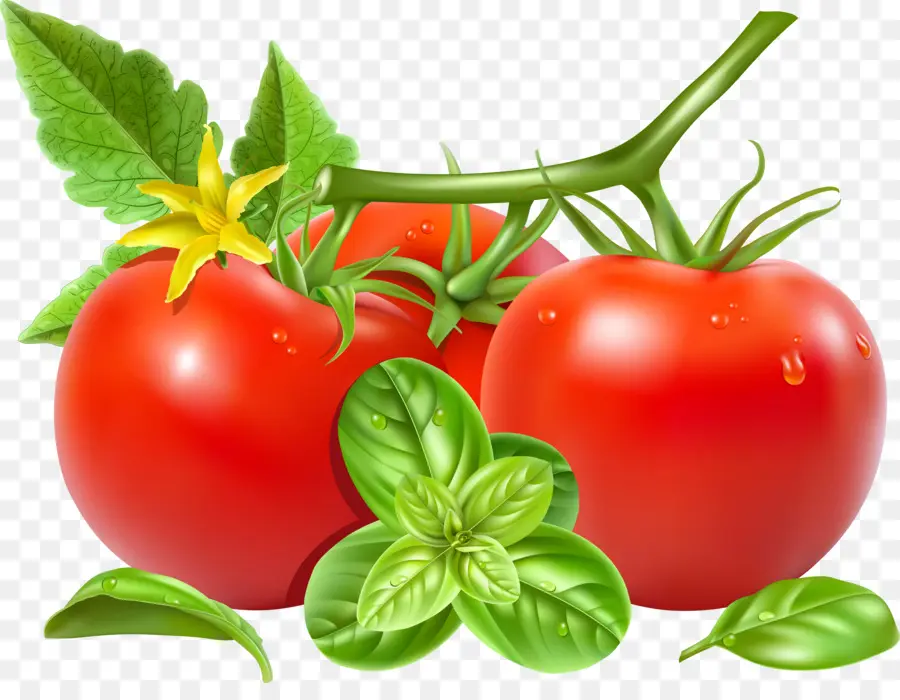 El Tomate San Marzano，Royaltyfree PNG