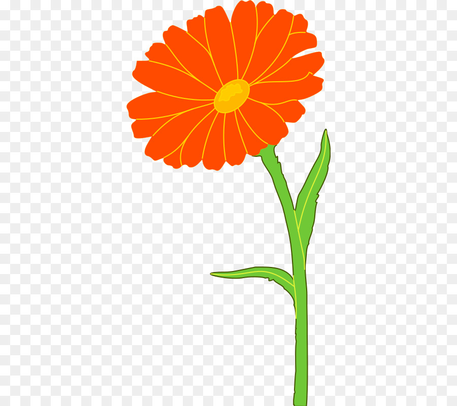 Flor De Naranja，Florecer PNG