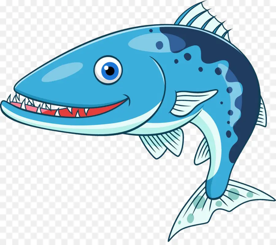 Barracuda，De Dibujos Animados PNG