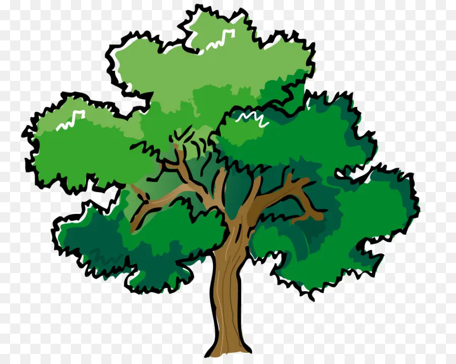 árbol Verde，Naturaleza PNG