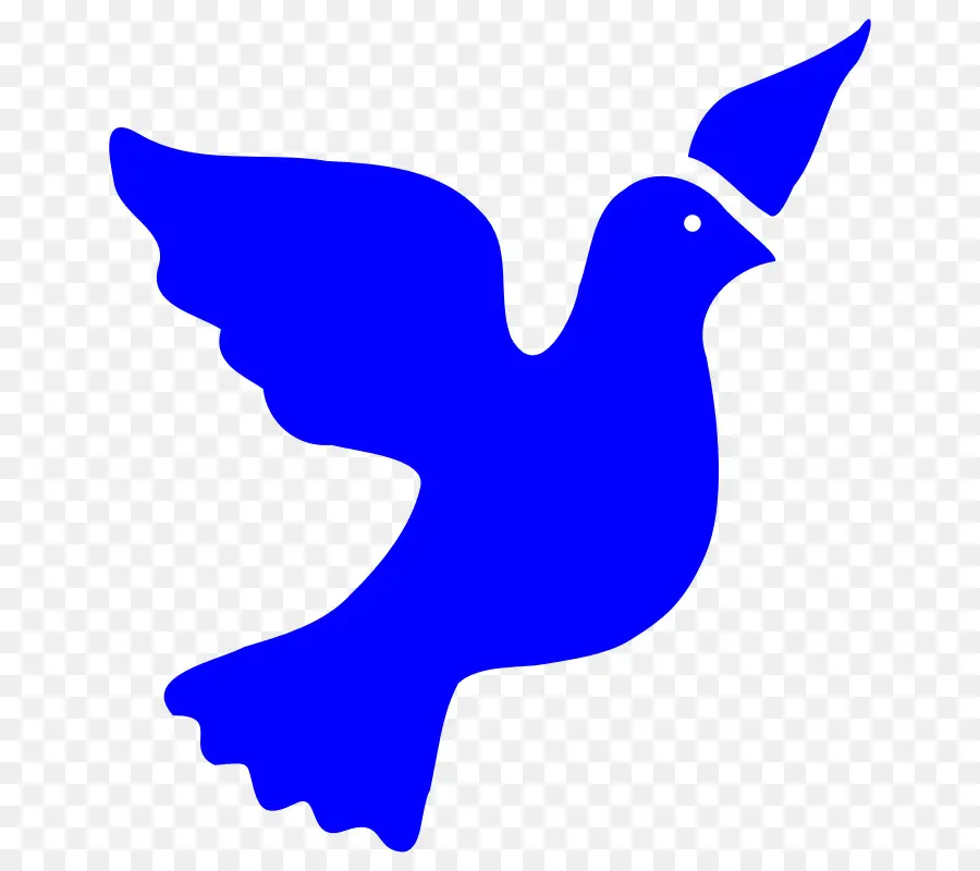 Pájaro Azul，Paloma PNG