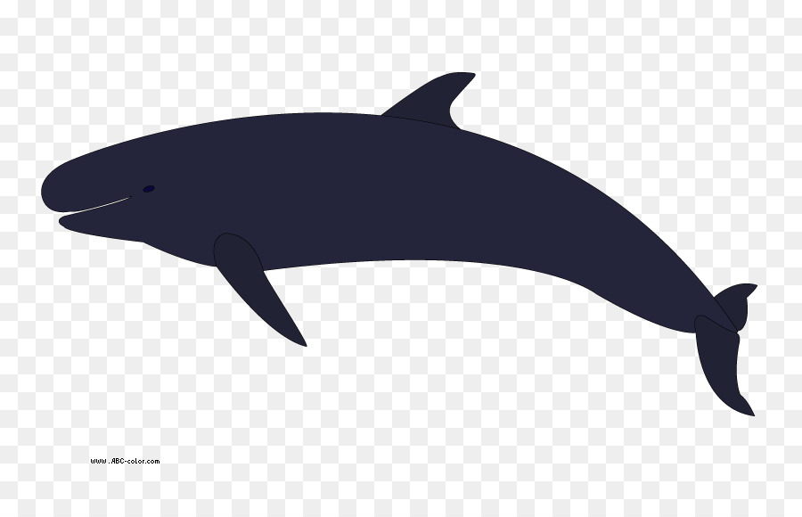 La Ballena Asesina，Ballena PNG