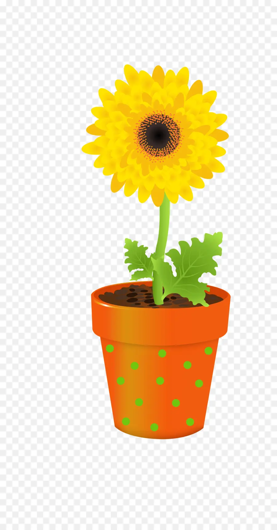 Girasol，Maceta PNG