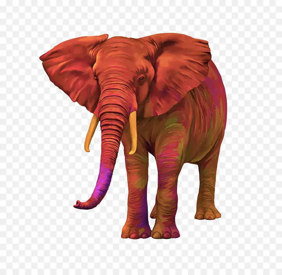 Elefante，Trompa PNG