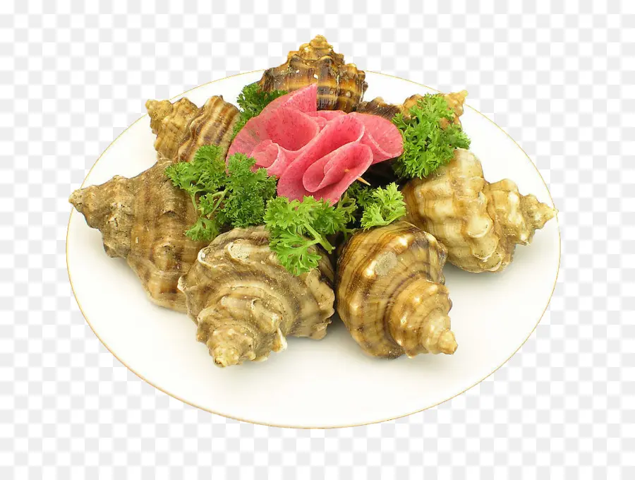 Plato De Mariscos，Conchas PNG