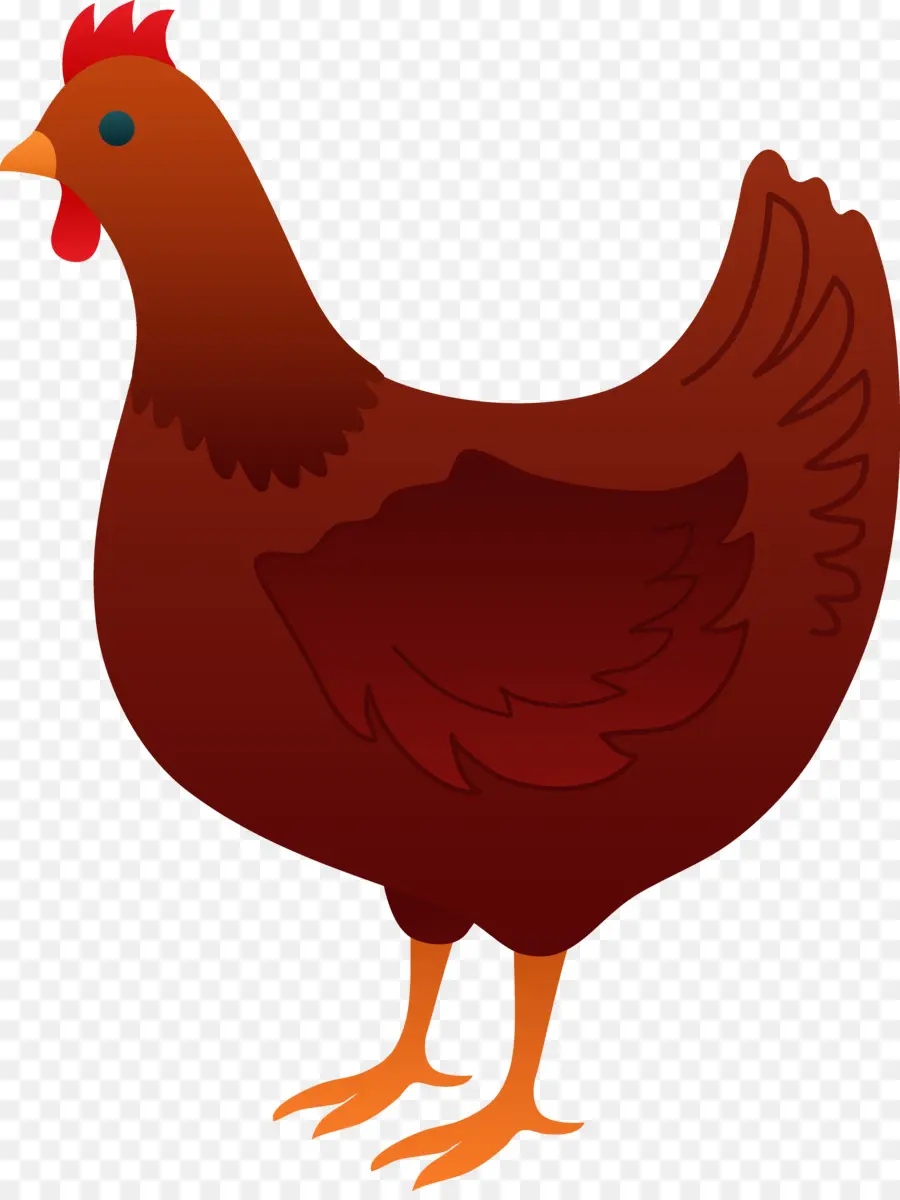 Pequeña Gallina Roja，Pollo PNG