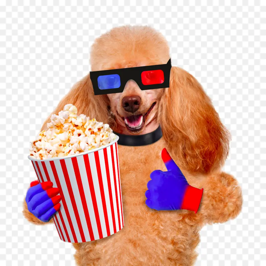 Perro Con Palomitas De Maíz，Palomitas PNG