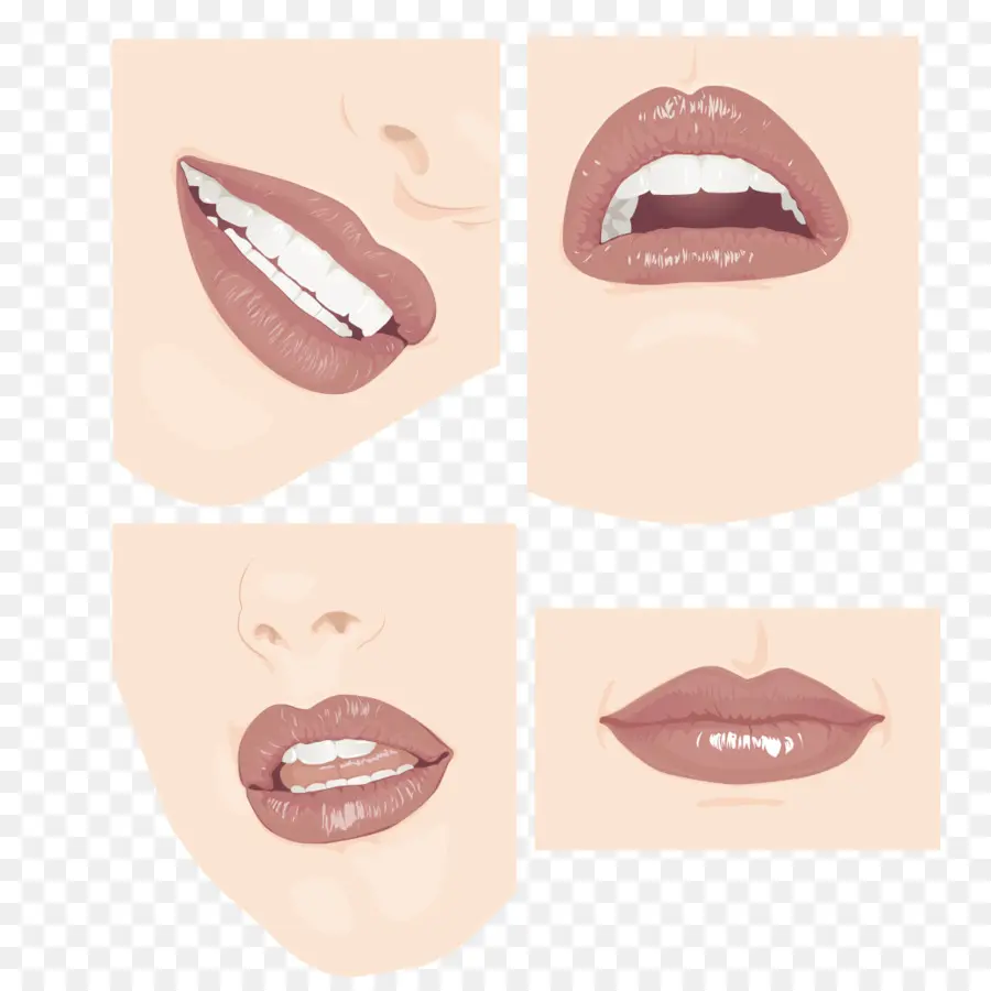 Labios，Boca PNG