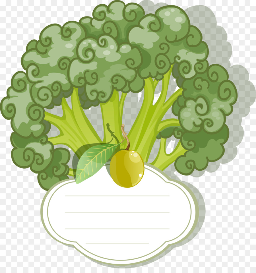 Brócoli，Verde PNG