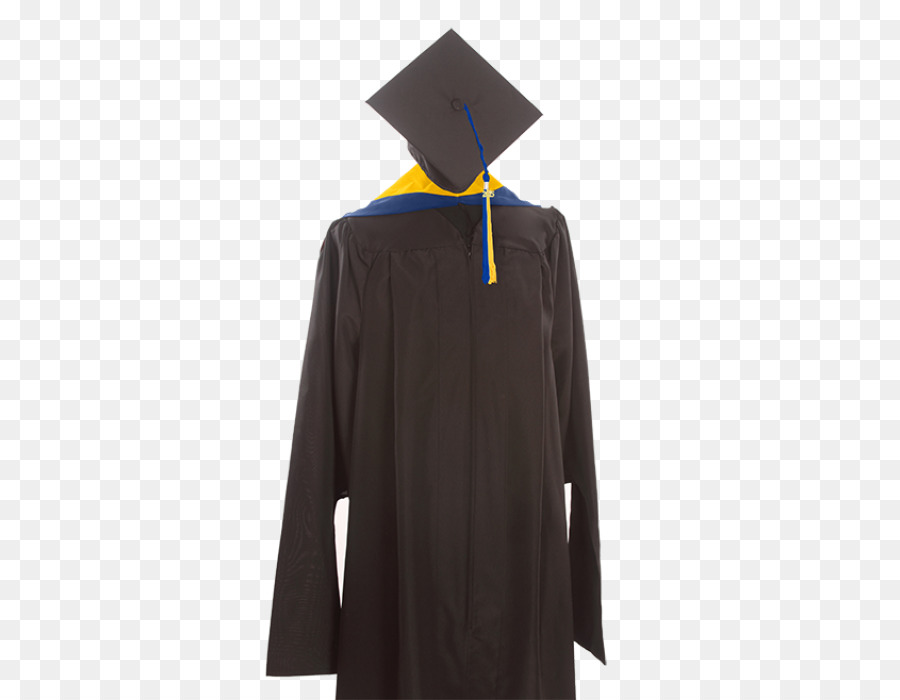 Vestido De Graduación，Educación PNG