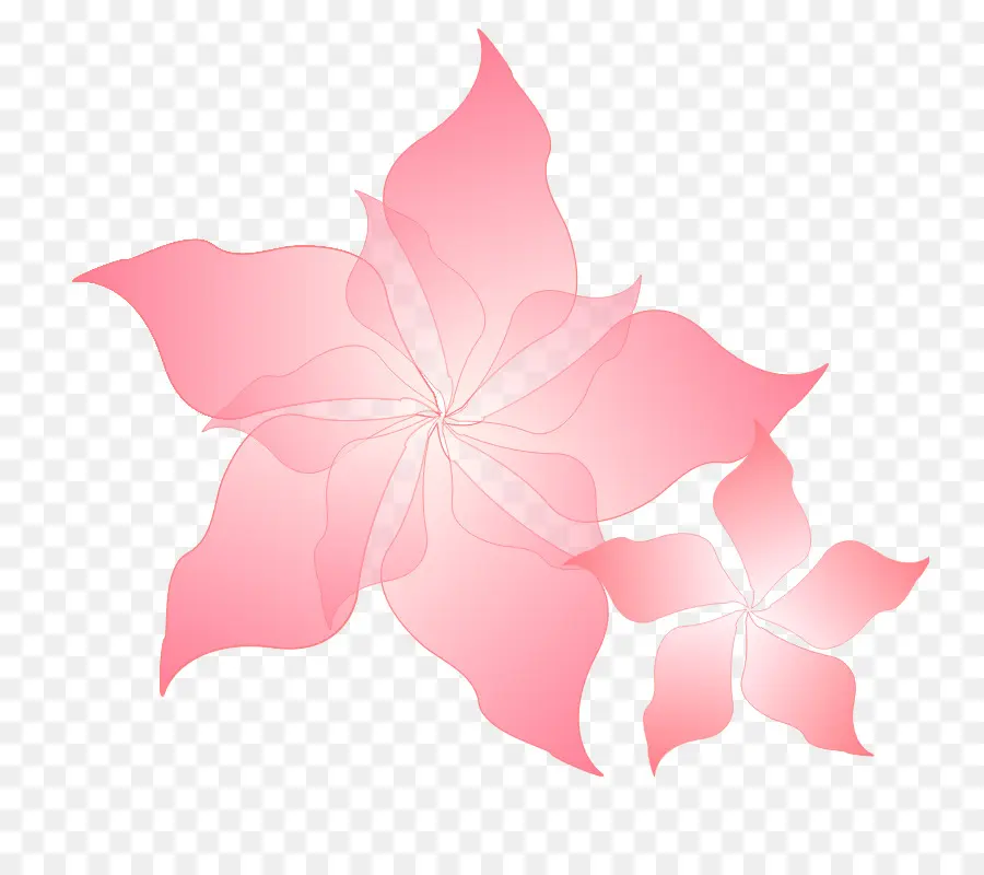 Flor，Gratis PNG