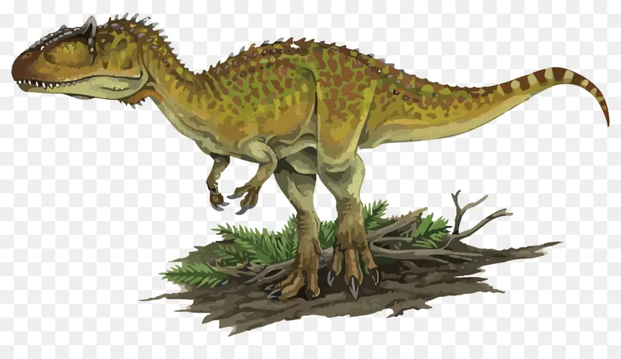 Carcharodontosaurus，Kelmayisaurus PNG
