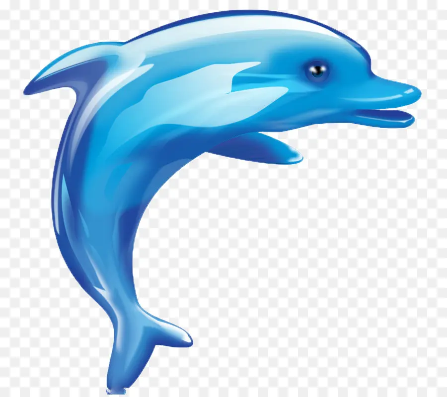 Dolphin，De Dibujos Animados PNG