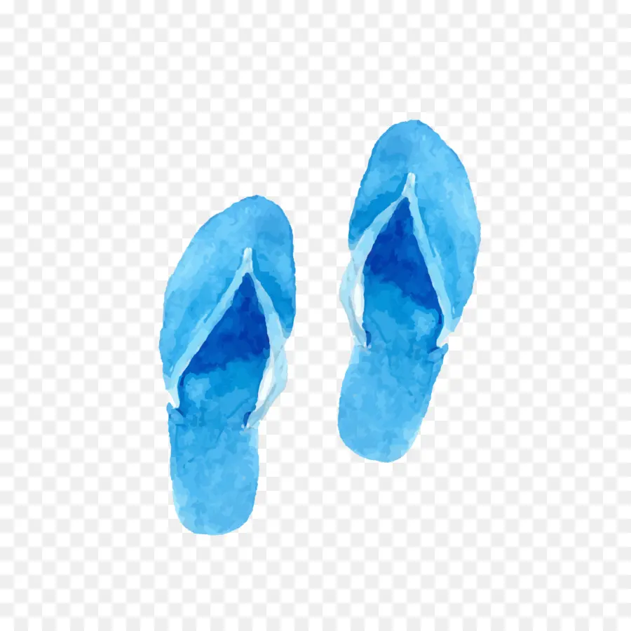 Flipflops，Zapatilla PNG