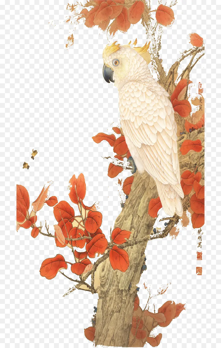 Loro，Árbol PNG