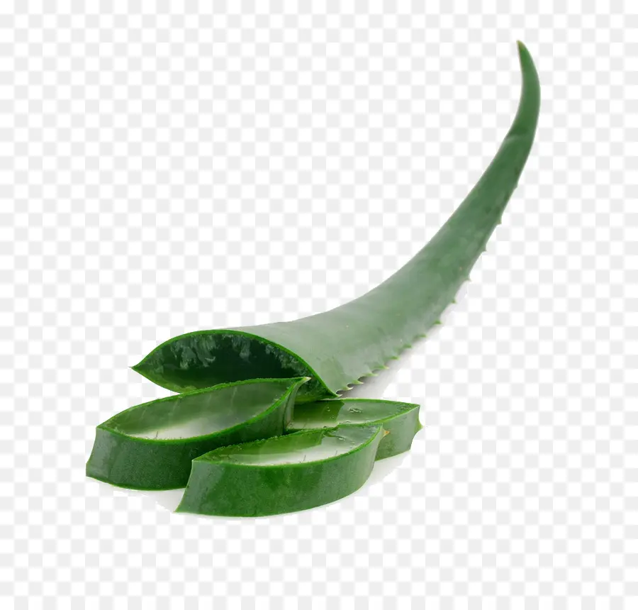 Aloe Vera，Gel PNG