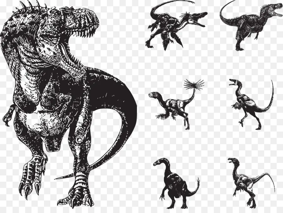Reptiles，Tyrannosaurus PNG